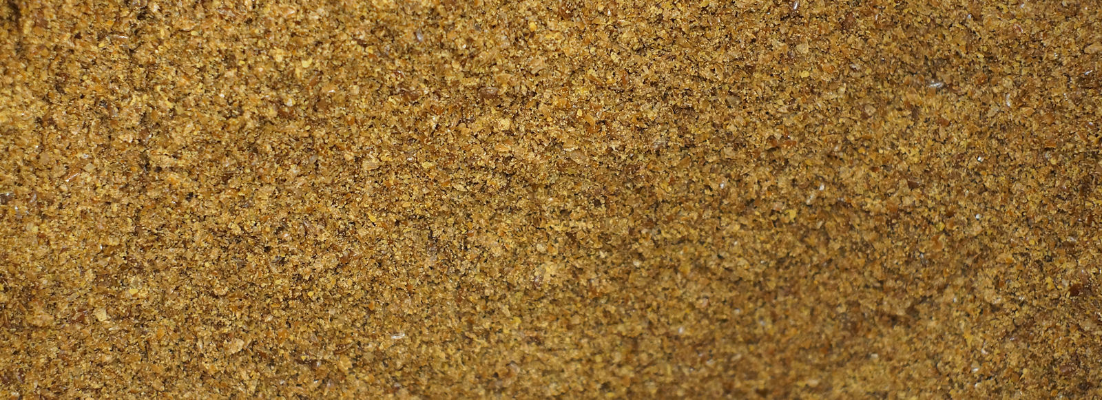 Linari Linarosporos Fyto 250526a