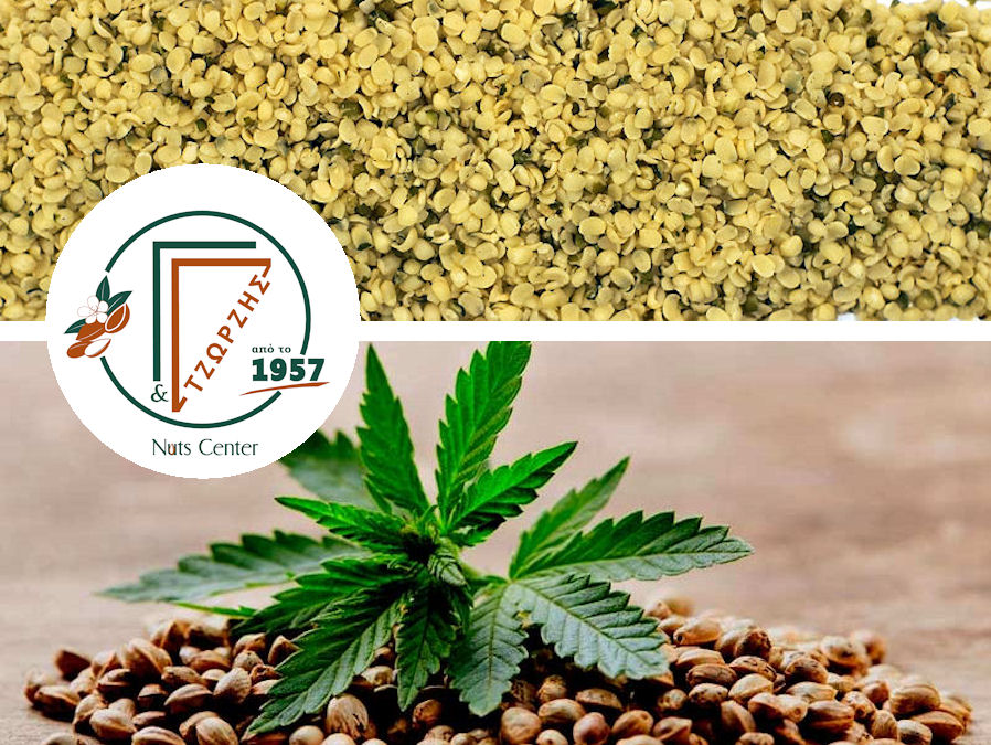 Sporoi Kannabis Web 290526